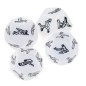 12 Sided Erotic Lover Sex Dice