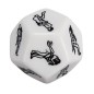 12 Sided Erotic Lover Sex Dice