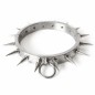 Spiked Stainless Steel Bondage Kit