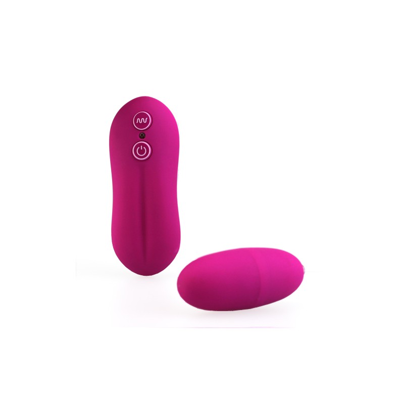 10 Function Egg Vibrator