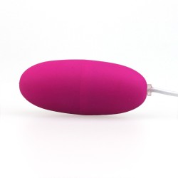 10 Function Egg Vibrator