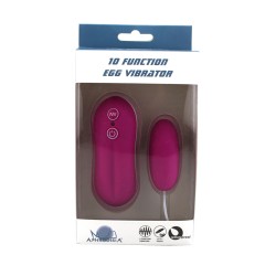 10 Function Egg Vibrator