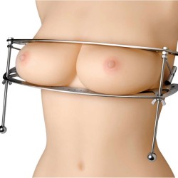 Stainless Steel Circular Nipple Clamps