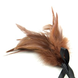 Frisky Feather Duster With Bow