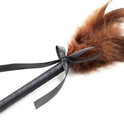 Frisky Feather Duster With Bow