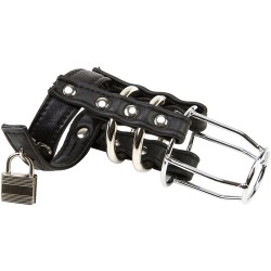 Leather &amp; Steel Cock Cage