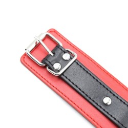 Leather Locking Red/Black  Fetish Collar