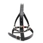 Ball Gag Head Harness