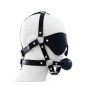 Harness Ball Gag With Blinder