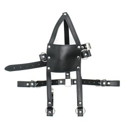 Cross Strap Panel Ball Gag Trainer