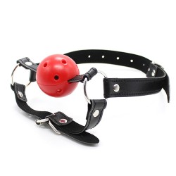 Harness Breatheable Ball Gag