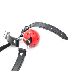 Harness Breatheable Ball Gag