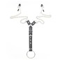 Penitentiary Nipple Clamps and Cock Ring Set