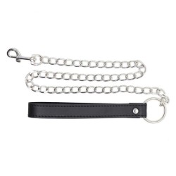 Regulation Chain Leash