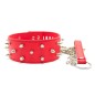 Collar Lockable With  Full Spikes