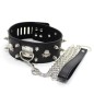 Collar Lockable With  Full Spikes