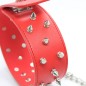 Collar Lockable With  Full Spikes