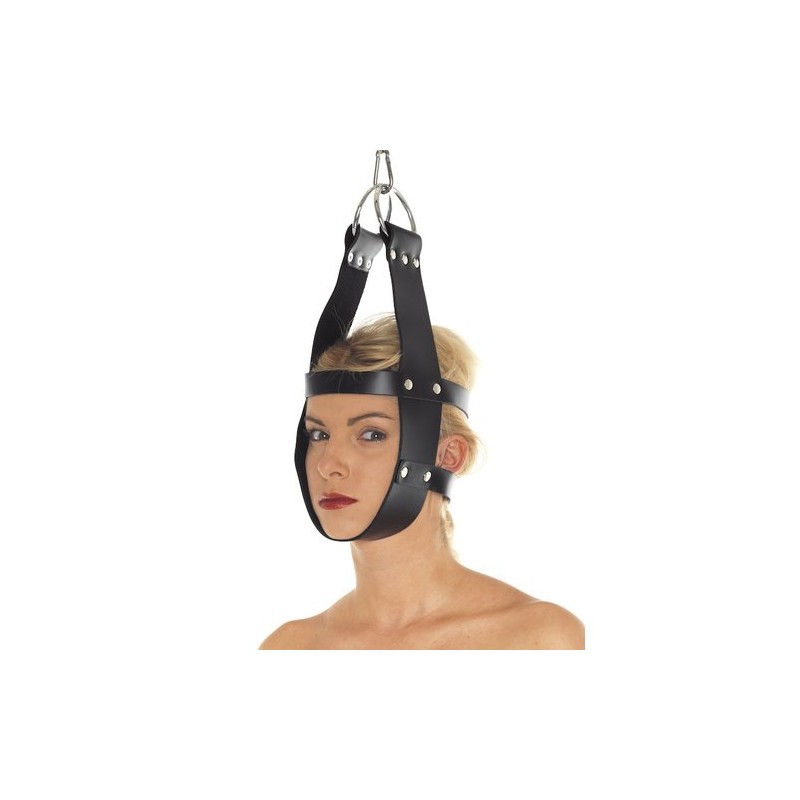 Head Immobilization Harness