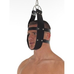 Head Immobilization Harness