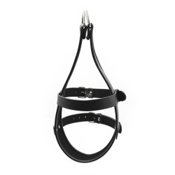 Head Immobilization Harness