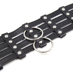 2 O-Ring 4 Strip 4 Buckle Collar