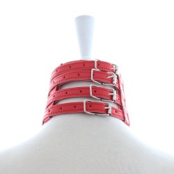 2 O-Ring 4 Strip 4 Buckle Collar