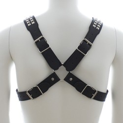 Harness With Two Rows O Shiny Pyramid Studs