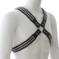 Harness With Two Rows O Shiny Pyramid Studs