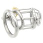 Penal Code Locking Male Chastity Cage