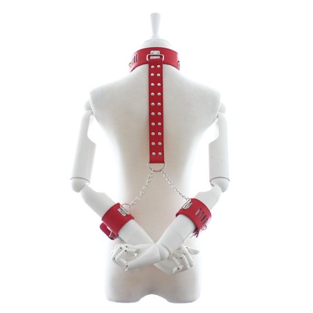 Neck and Wrist Restraints - Adjustable And Locking