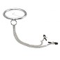 Stainless Steel Chrome Slave Collar with Nipple Clamps