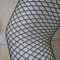 Sexy Fence Net Lace Trim Stockings