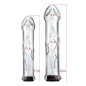 Hollow Water-filled Heated Glass Dildo