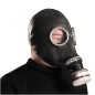 Gas Mask Including Filter