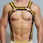 D.M Neoprene Chest Harness with Suspenders