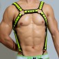 D.M Neoprene Chest Harness with Suspenders