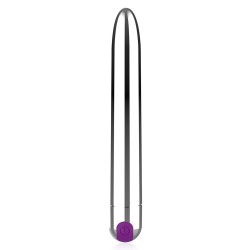 Pussycat Rechargeable Silver Bullet Vibe