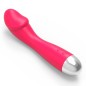 G-spot &amp; Clitoral Massage Vibrator