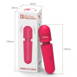 Mini Dance Wand Massager