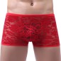 Attractive Lace Gay Low-waist Boxers Men Shorts