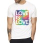 Gay Love Rainbow T Shirt
