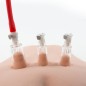 Three Cup Nipple Enhancement Pump