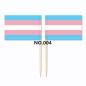 D704 Pride Toothpick Flag-100pcs