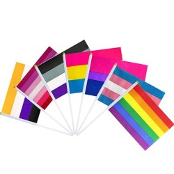 D703 Gay Pride Hand Waving Flag-50pcs