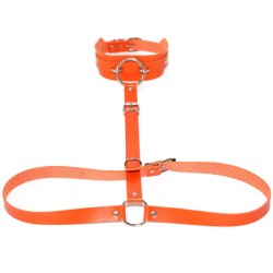 Waist Belt strap With O Ring Collar