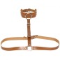 Waist Belt strap With O Ring Collar
