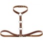 Waist Belt strap With Collar