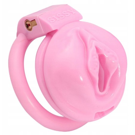 Labia Chastity Cage