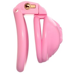 Labia Chastity Cage