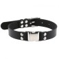 Magnetic Leather Collar